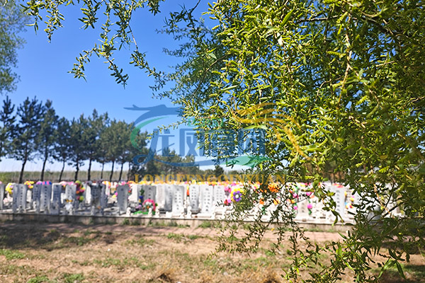 沈阳公墓购墓合同的重要性：如何识别并使用标准格式合同？