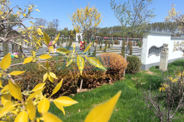 龙凤公墓园内风光