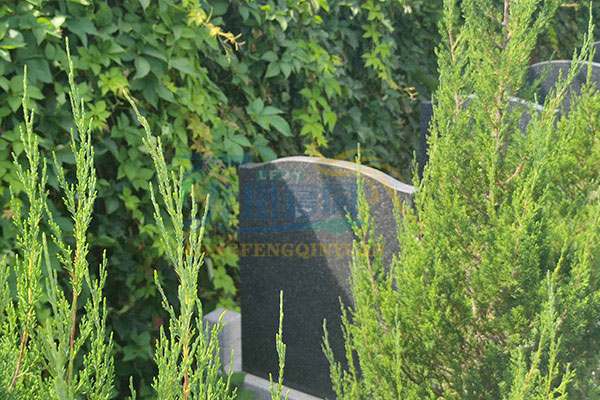 龙凤寝园墓园一角