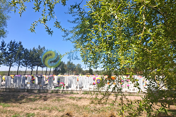 沈阳墓地选择中的地形与环境考量有哪些？