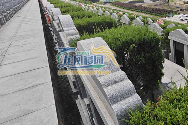 探访沈阳龙凤寝园：感受历史沉淀与自然美景的和谐交融