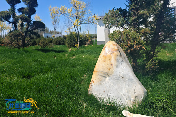 沈阳陵园到期后续费：10%是一年的费用吗？