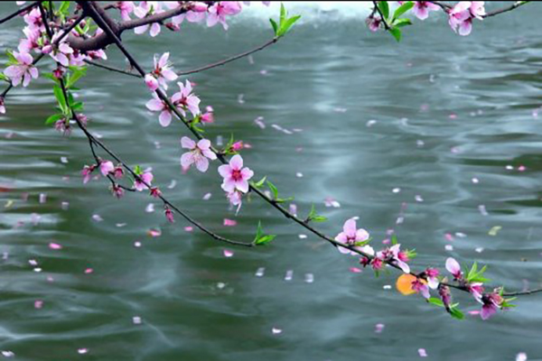 沈阳墓地价格表中的龙生礼会流程