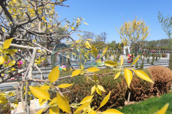 沈阳龙凤寝园公墓：宁静之地，绿意盎然